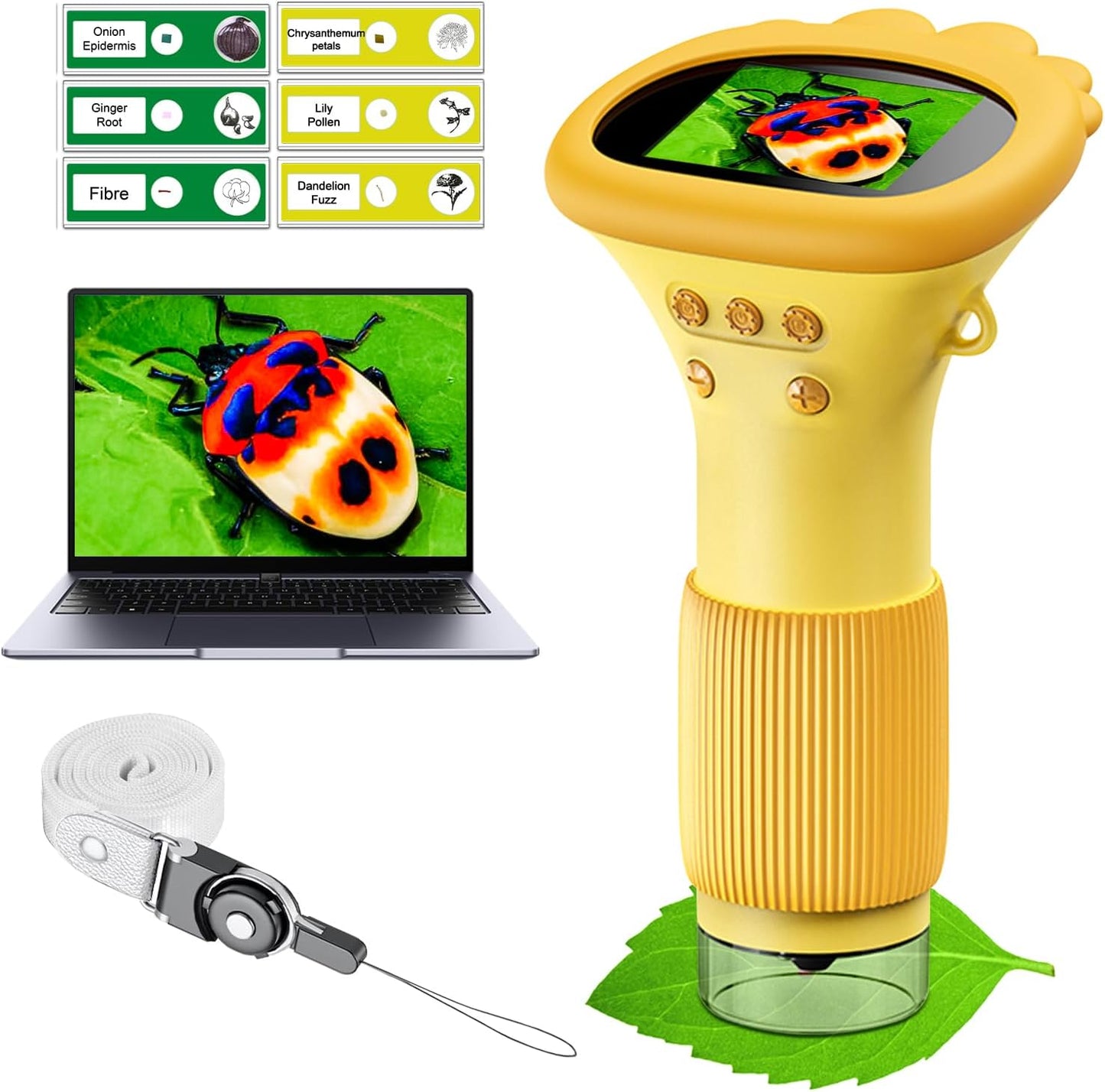 PlayBuild™Kids Microscope